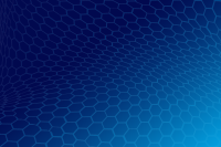 professional business portrait headshot